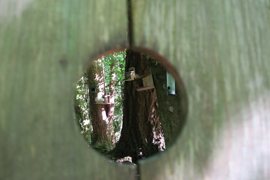 Looking through one of the holes in the screen