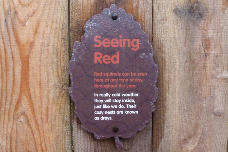 Seeing Red
