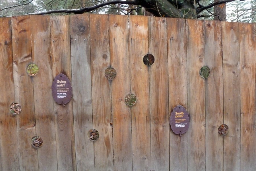 The screen infront of the feeders