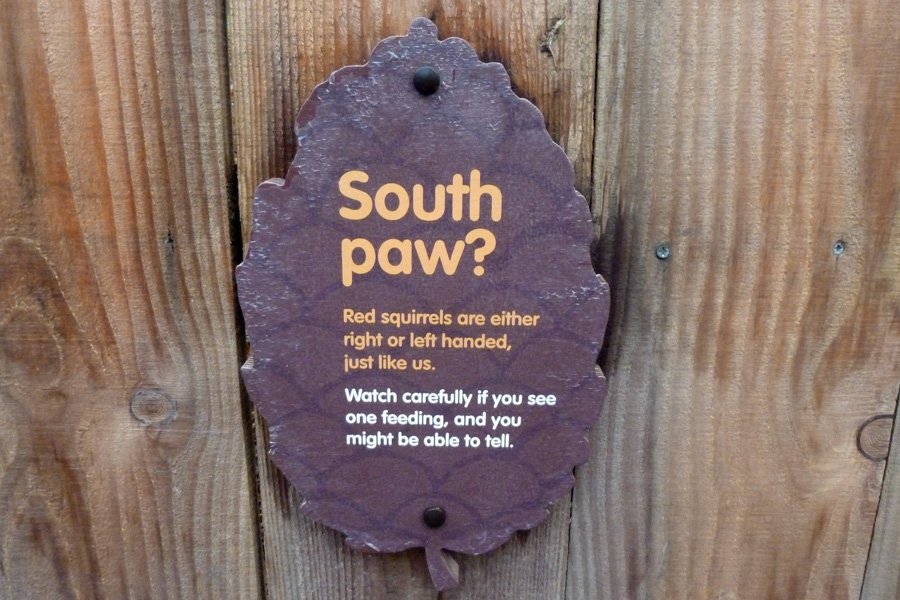 South Paw