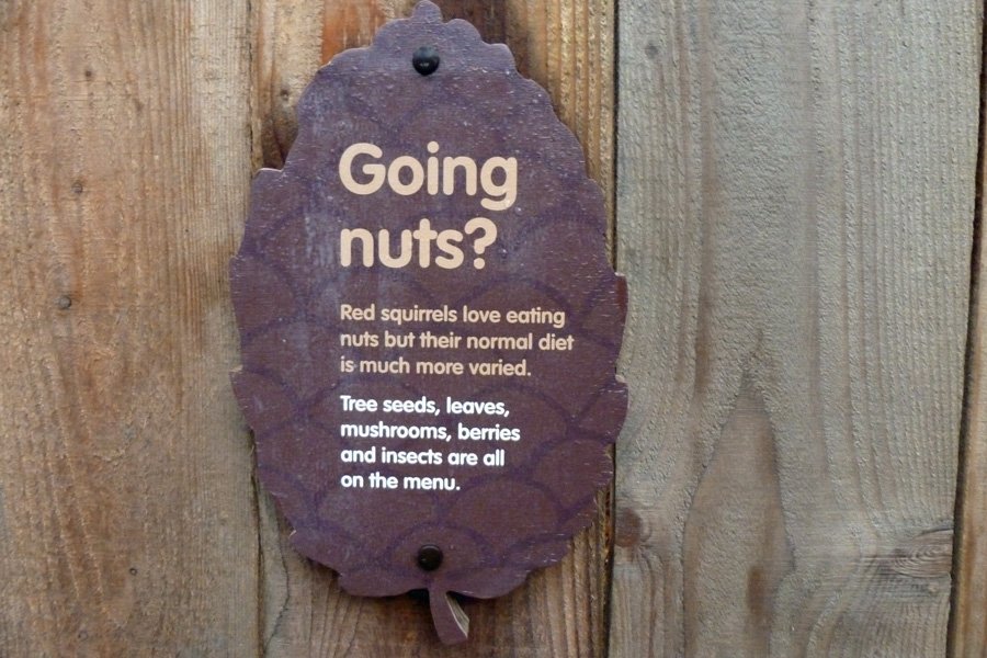 Going nuts