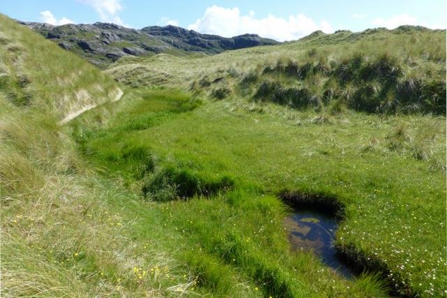 A little burn running through the dunes at Sanna