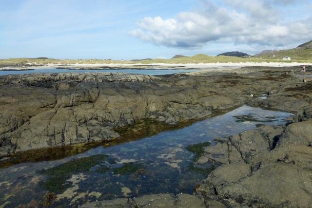 Sanna Bay is great place for rockpooling