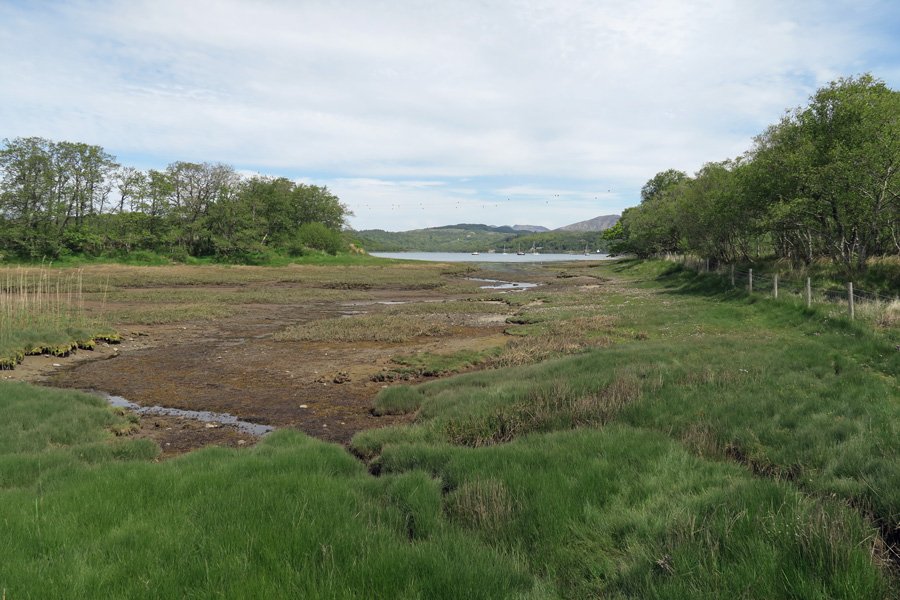 Salt marsh on the northen flank of Shian Wood Nature Reserve