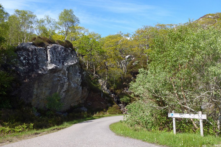 Meet at the RSPB Glenborrodale Reserve car park