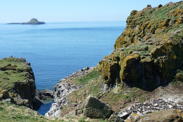 Harp Rock on Lunga