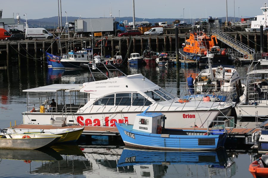 The MV Orion at Mallaig Marina
