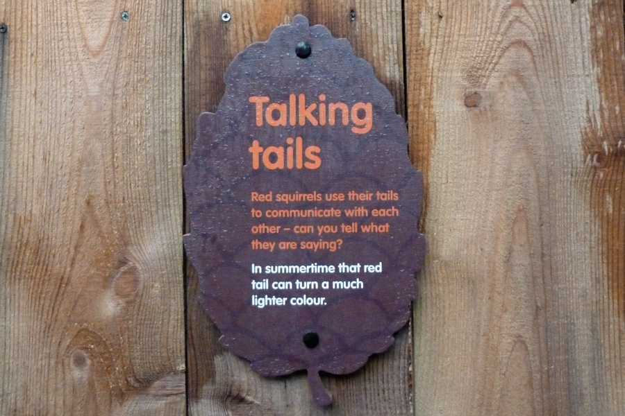 Talking tails
